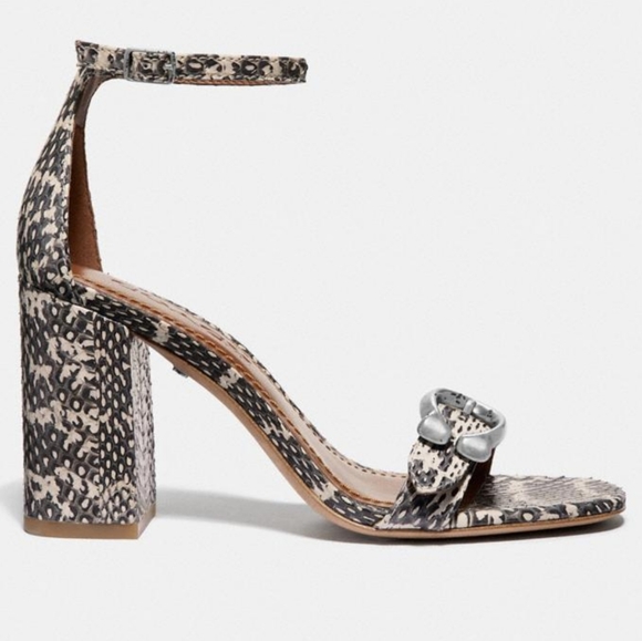 Coach Maya Signature Buckle Snake Print Sandals - Picture 5 of 7